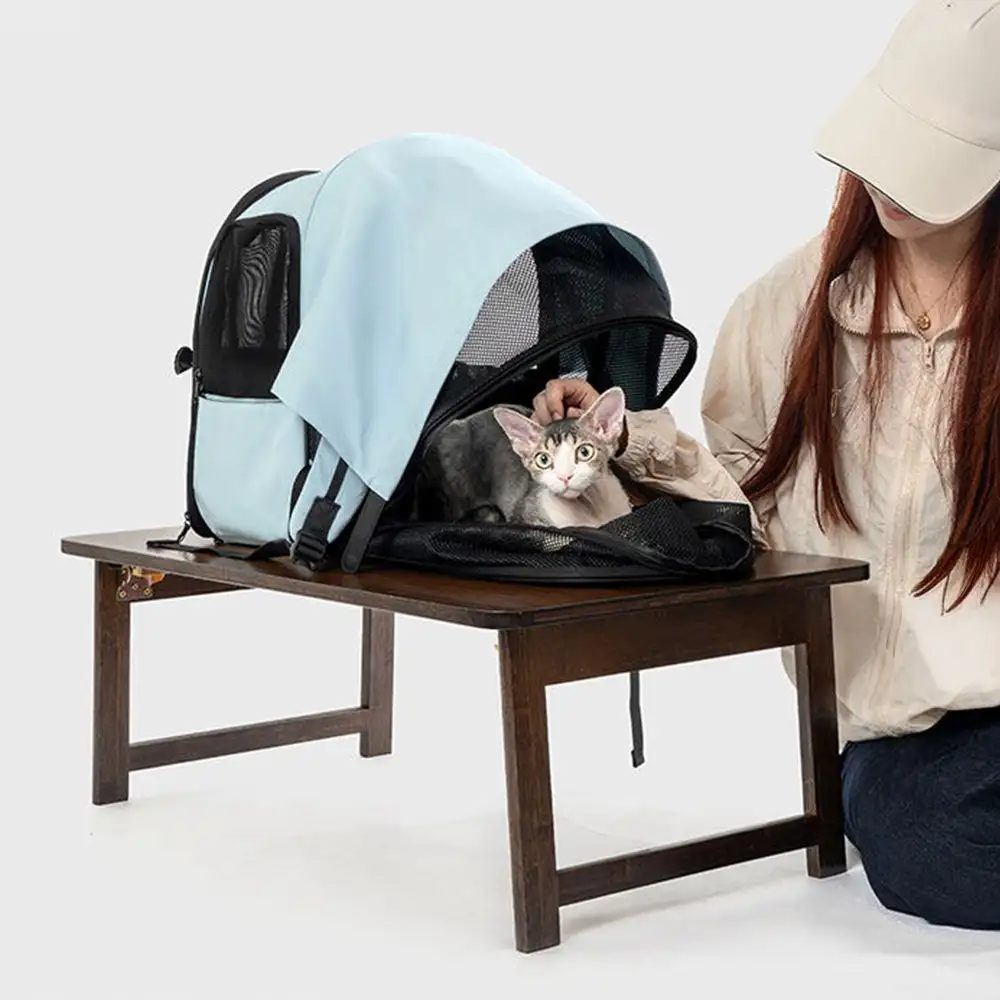 Thumbnail 11