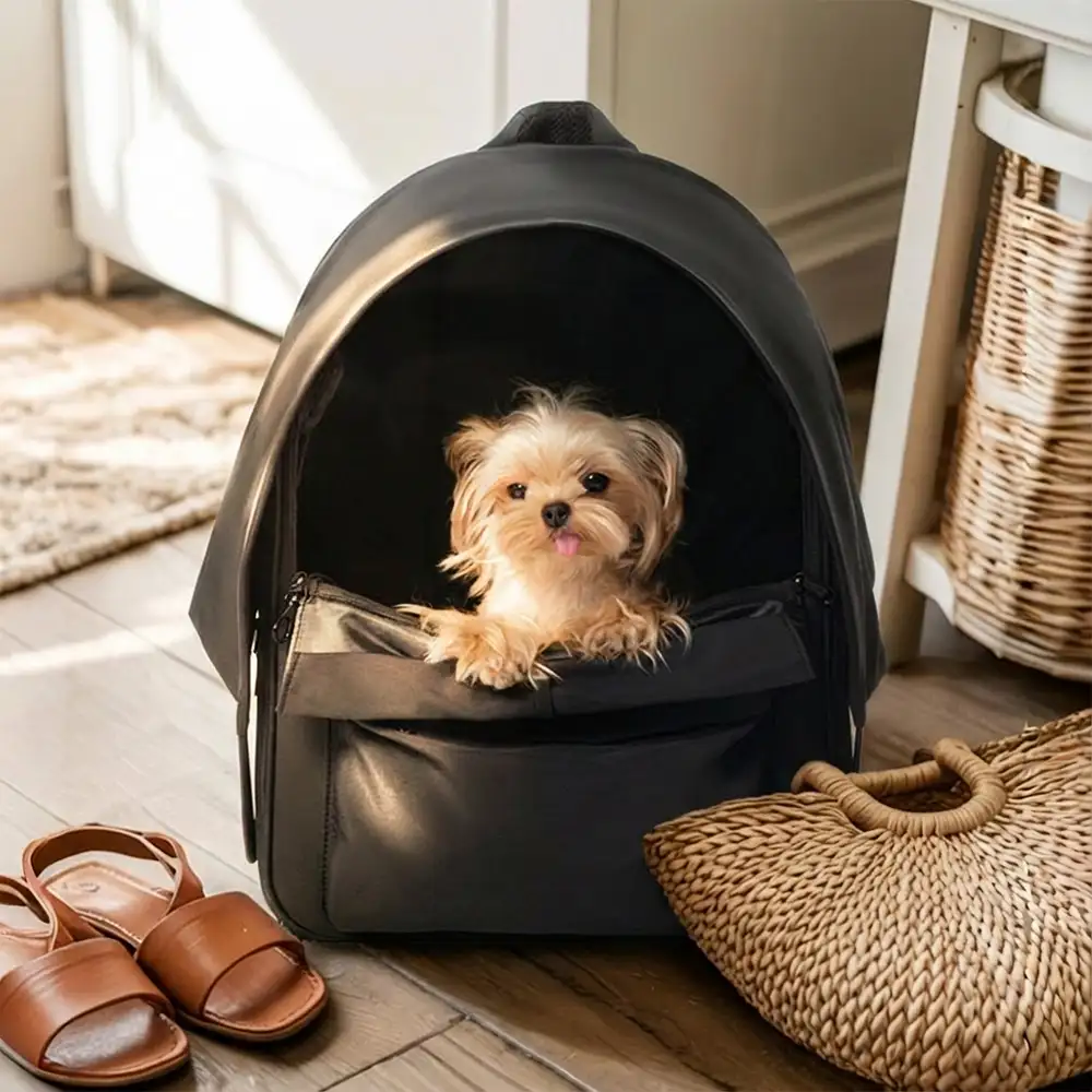 Thumbnail 20
